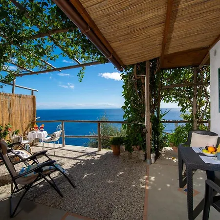 Sea Side Solandra * 普莱亚诺