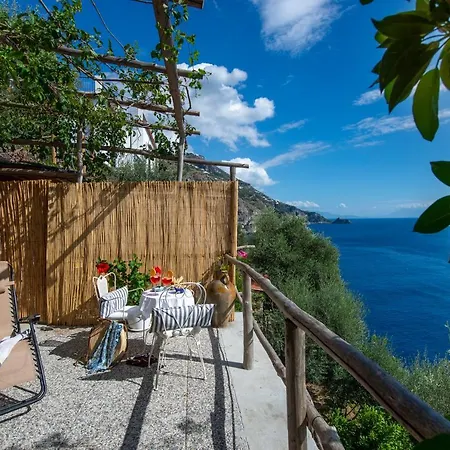 Sea Side Solandra * 普莱亚诺