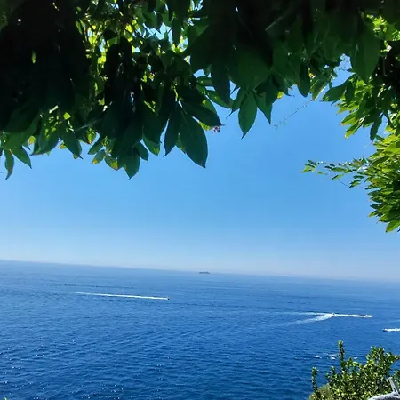 Sea Side Solandra