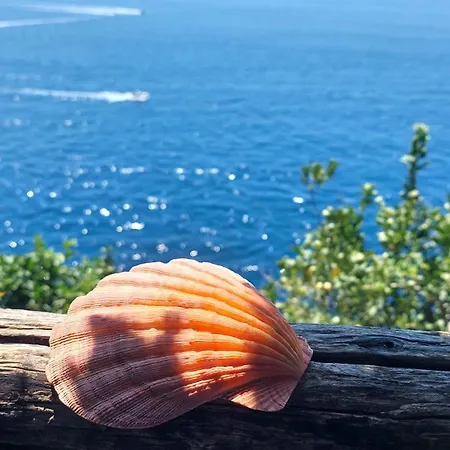 Lägenhet Sea Side Solandra Praiano